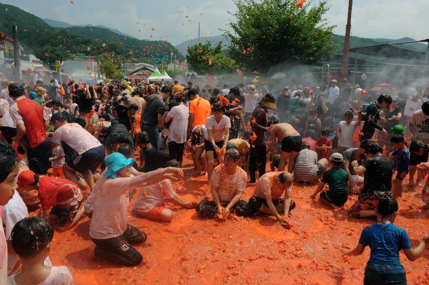 2016 화천토마토축제장 전경 의 사진