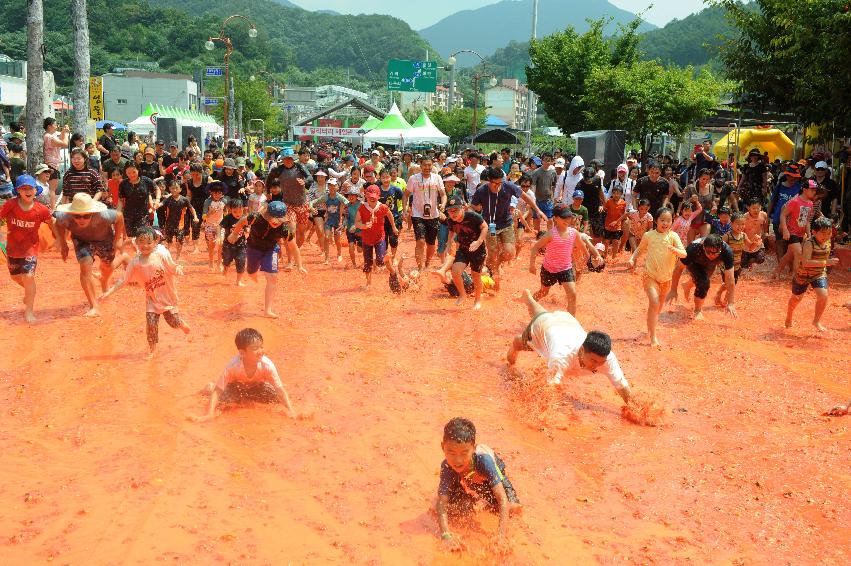 2016 화천토마토축제장 전경 의 사진