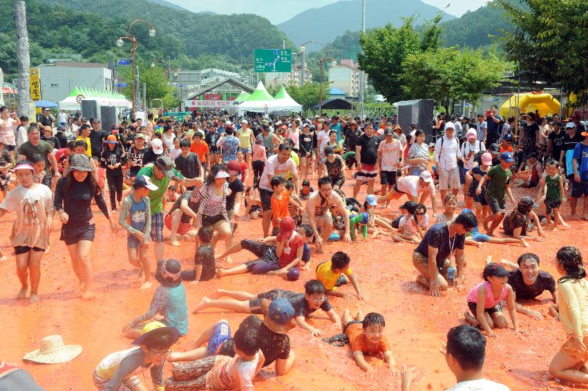 2016 화천토마토축제장 전경 의 사진