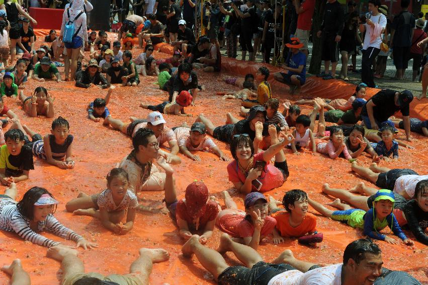 2016 화천토마토축제장 전경 의 사진