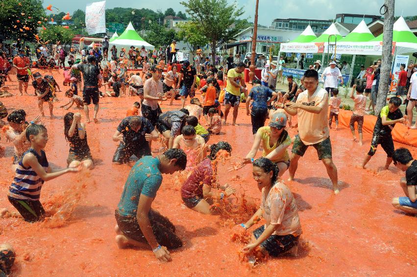 2016 화천토마토축제장 전경 의 사진