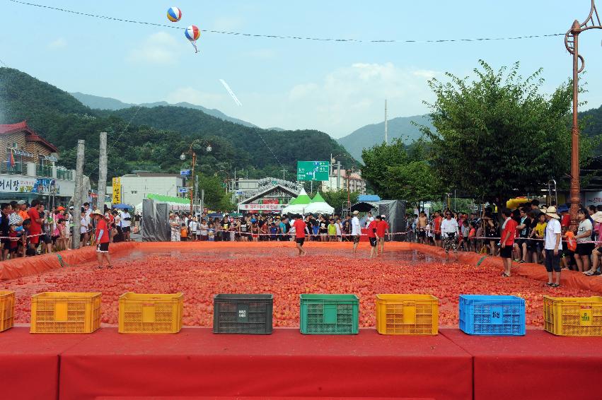 2016 화천토마토축제장 전경 의 사진