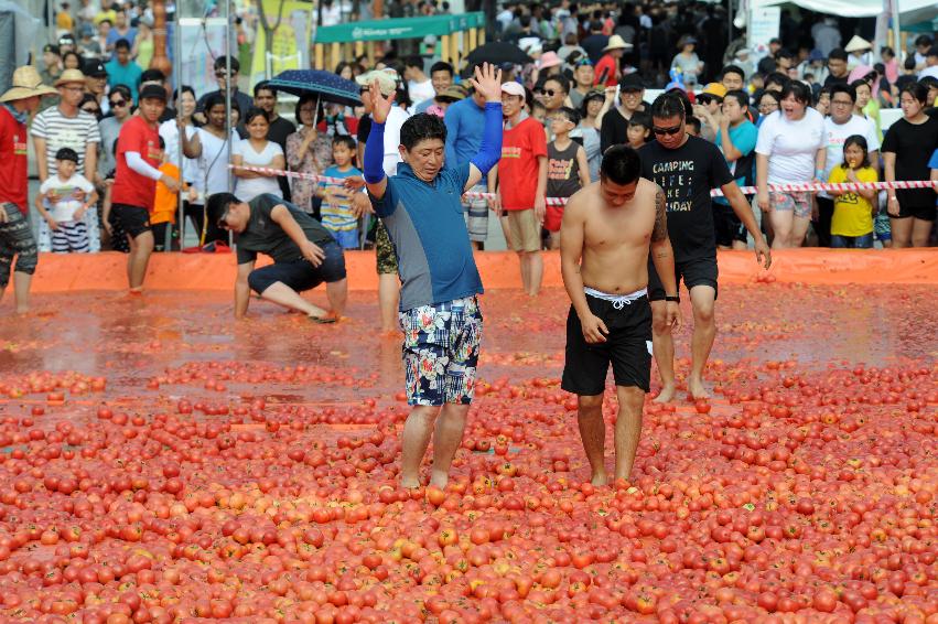 2016 화천토마토축제장 전경 의 사진