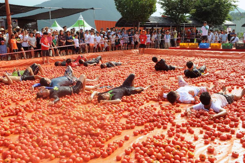 2016 화천토마토축제장 전경 의 사진