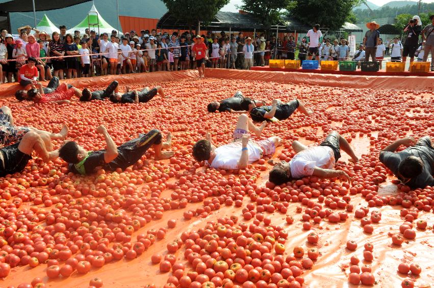 2016 화천토마토축제장 전경 의 사진