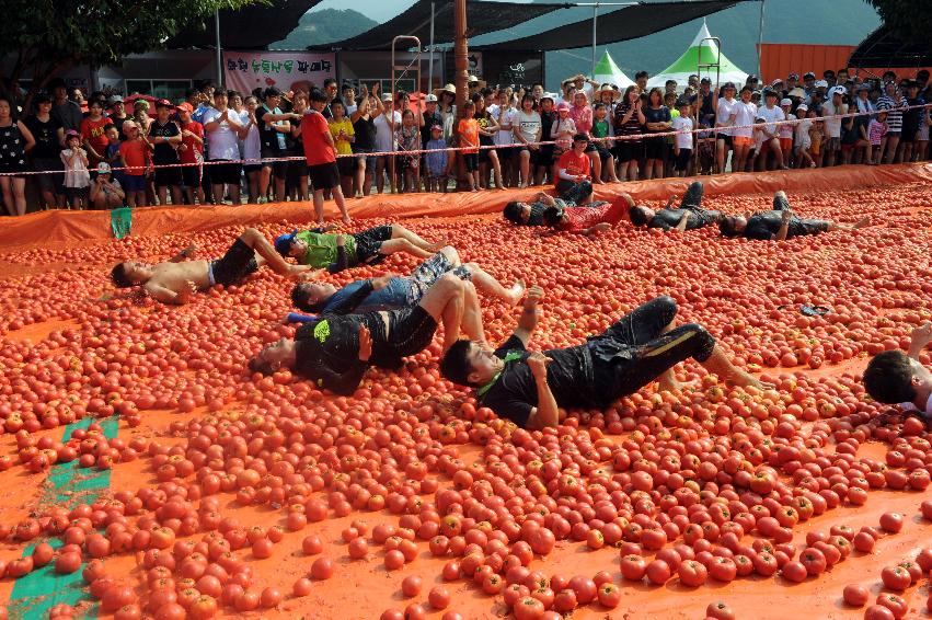 2016 화천토마토축제장 전경 의 사진