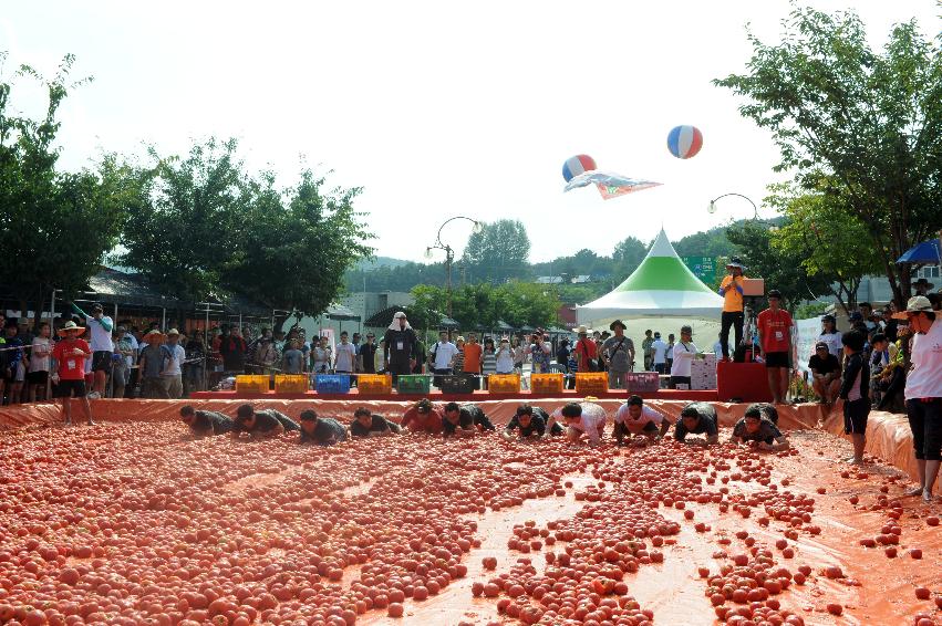 2016 화천토마토축제장 전경 의 사진