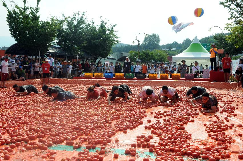 2016 화천토마토축제장 전경 의 사진