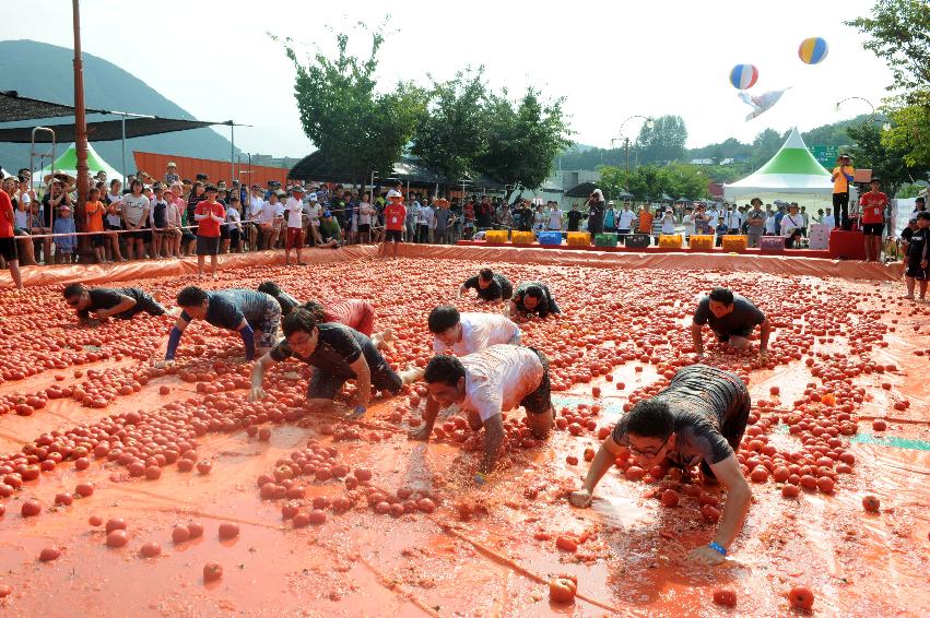 2016 화천토마토축제장 전경 의 사진