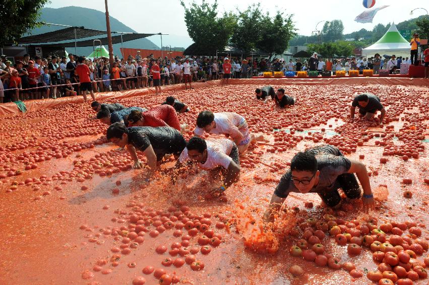 2016 화천토마토축제장 전경 의 사진