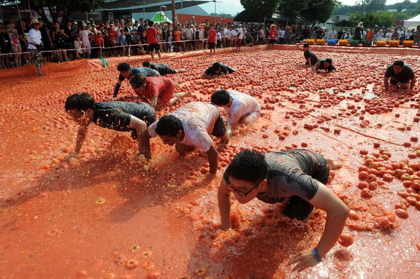 2016 화천토마토축제장 전경 의 사진