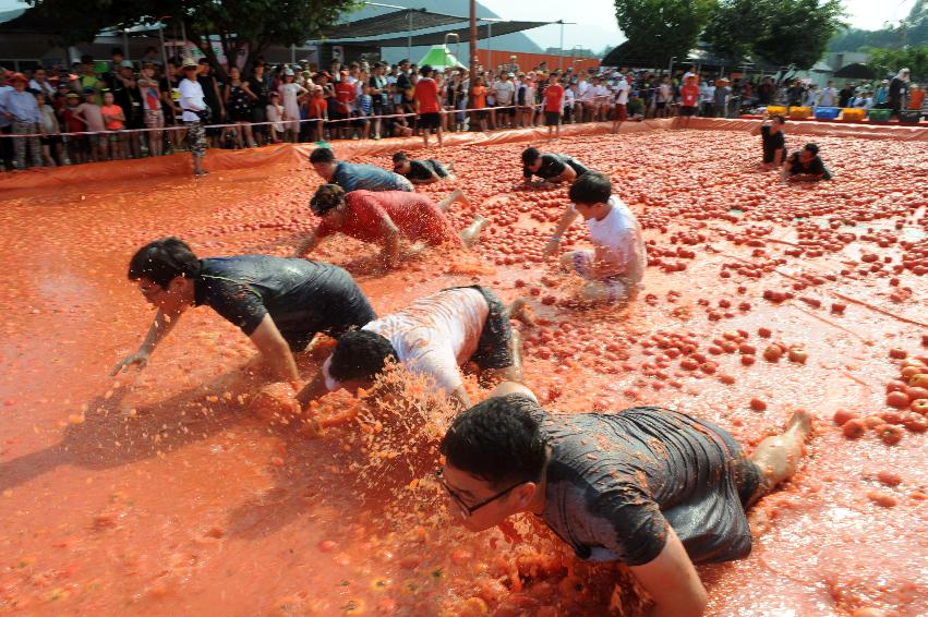 2016 화천토마토축제장 전경 의 사진