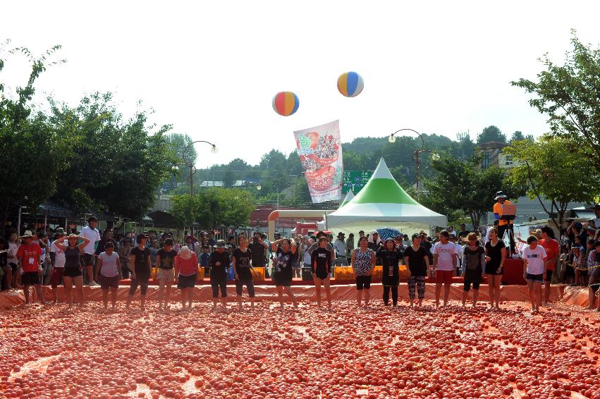 2016 화천토마토축제장 전경 의 사진