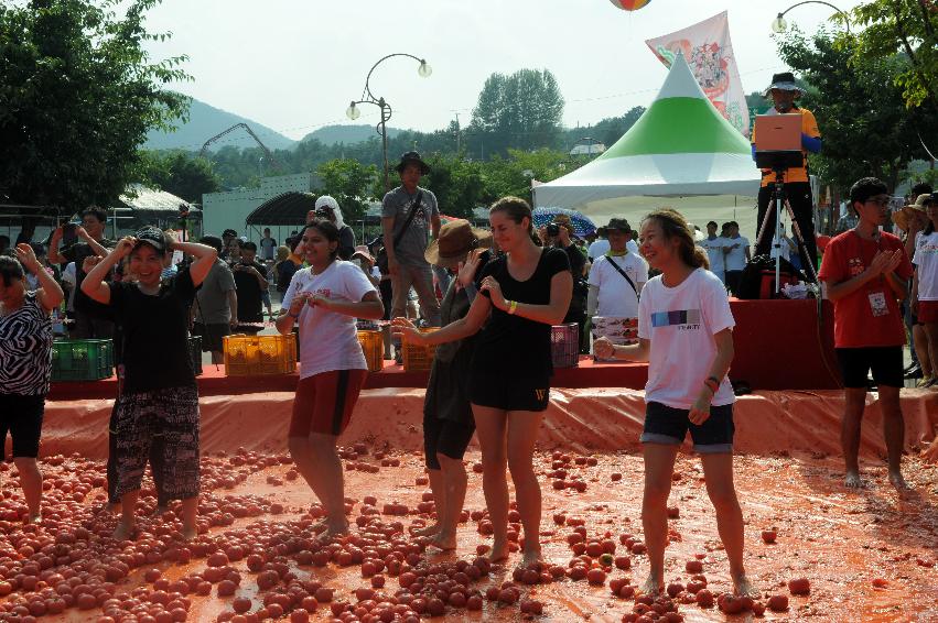 2016 화천토마토축제장 전경 의 사진