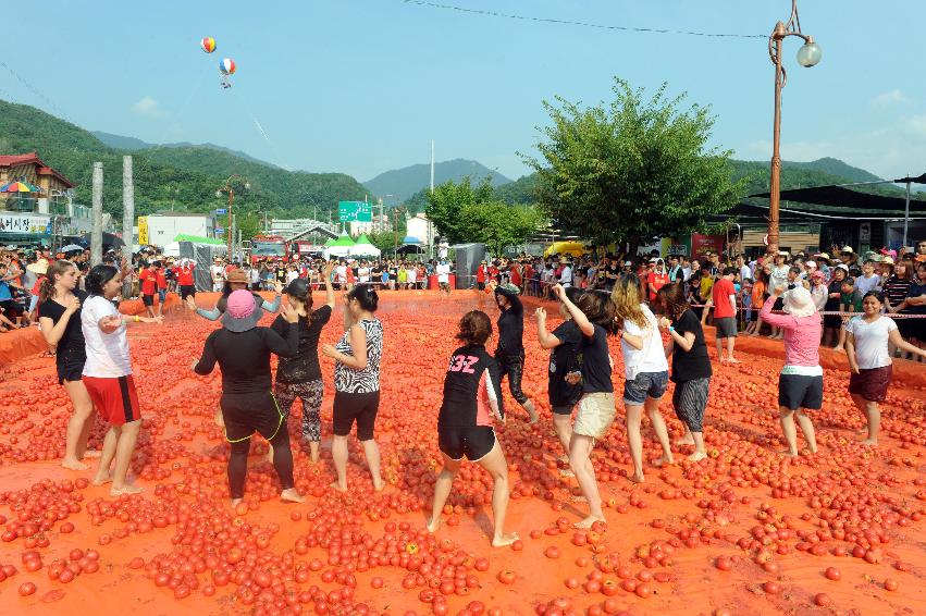 2016 화천토마토축제장 전경 의 사진