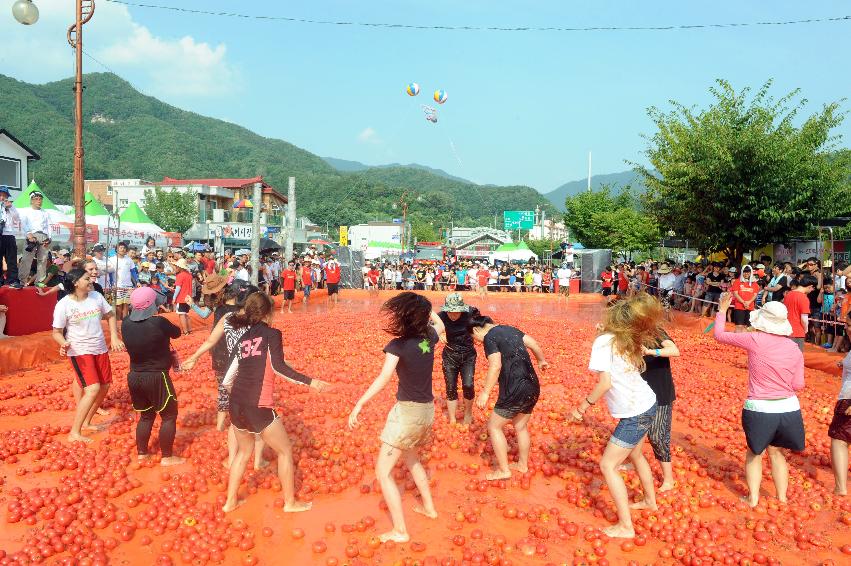 2016 화천토마토축제장 전경 의 사진