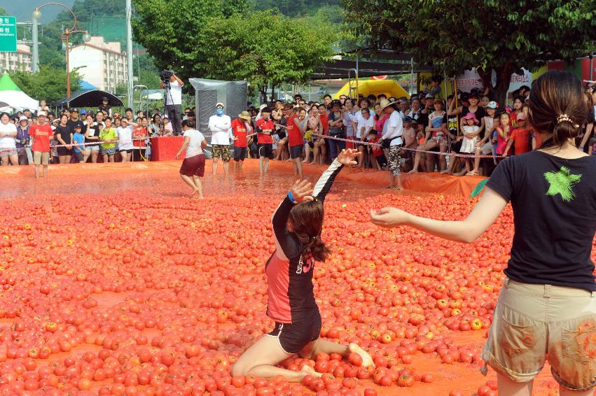 2016 화천토마토축제장 전경 의 사진