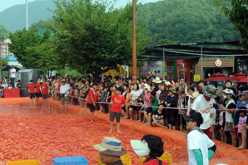 2016 화천토마토축제장 전경 의 사진