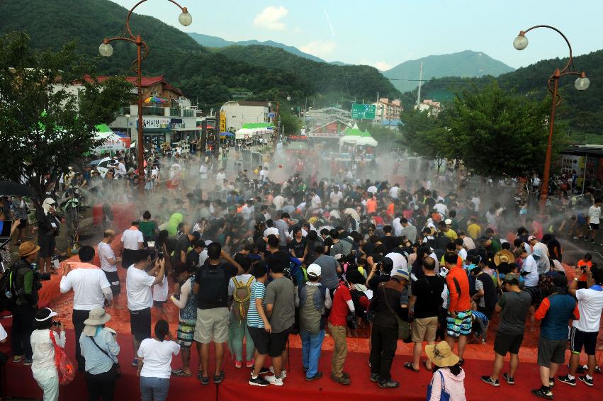 2016 화천토마토축제장 전경 의 사진