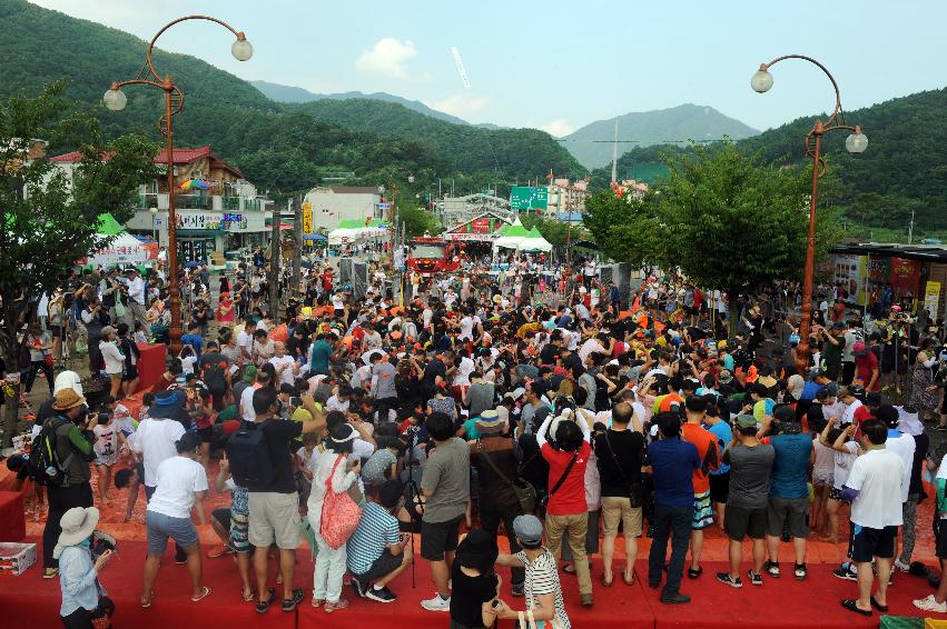 2016 화천토마토축제장 전경 의 사진