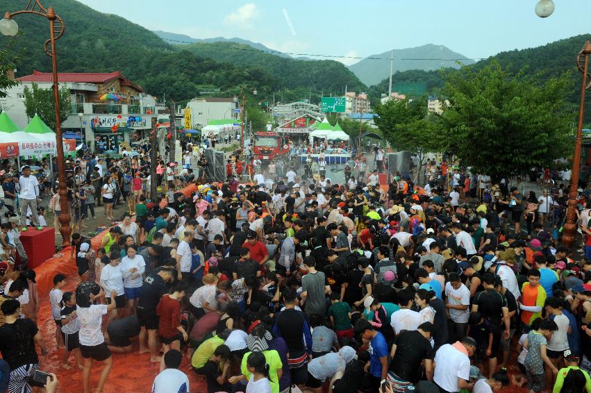 2016 화천토마토축제장 전경 의 사진