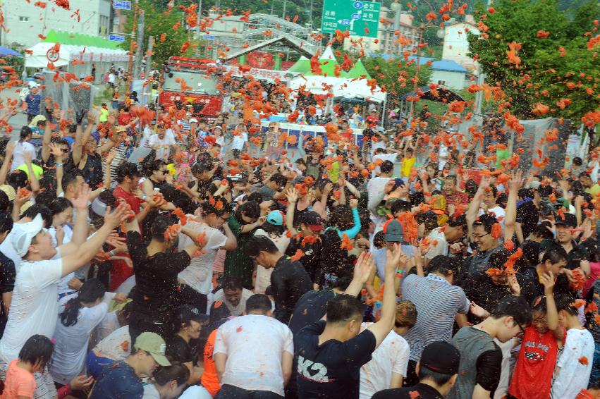 2016 화천토마토축제장 전경 의 사진