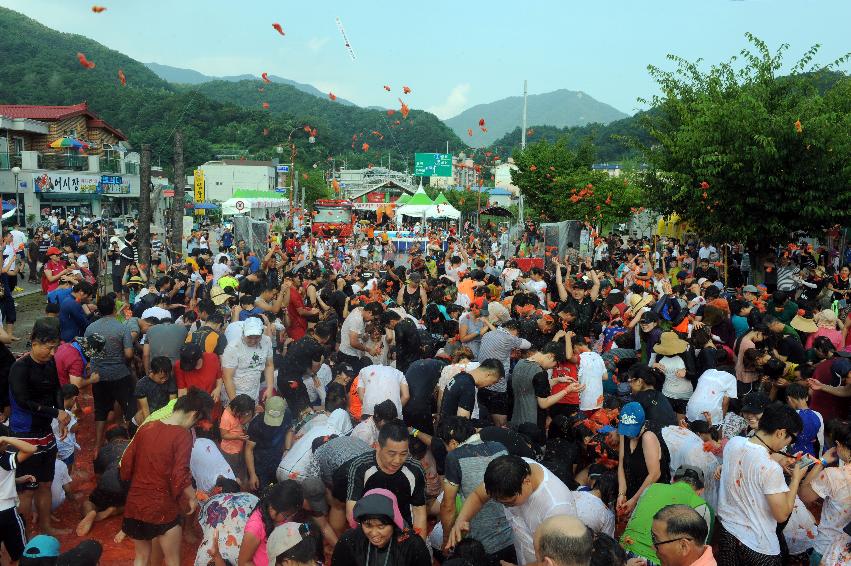 2016 화천토마토축제장 전경 의 사진