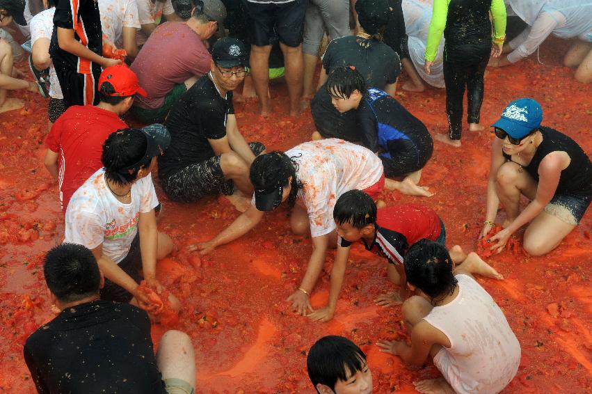 2016 화천토마토축제장 전경 의 사진