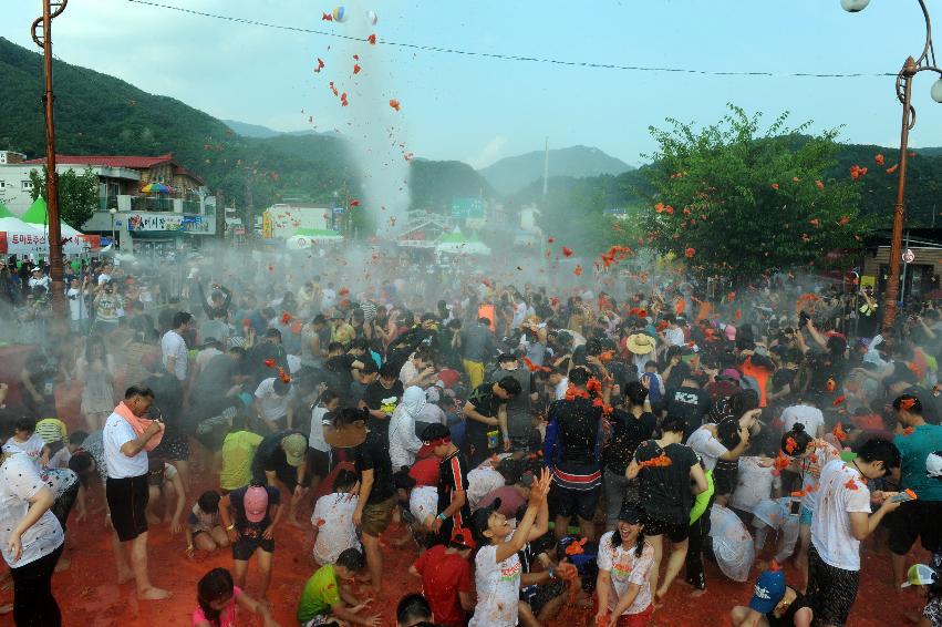 2016 화천토마토축제장 전경 의 사진