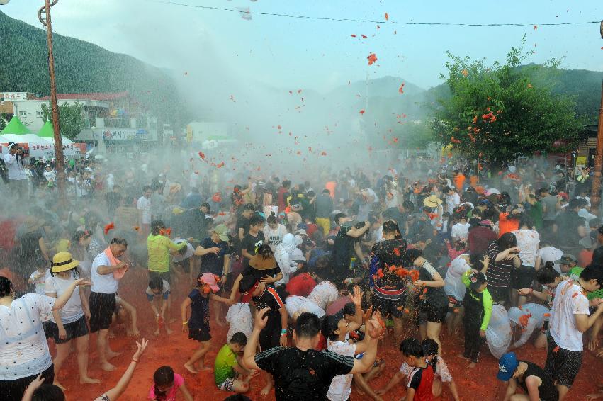 2016 화천토마토축제장 전경 의 사진