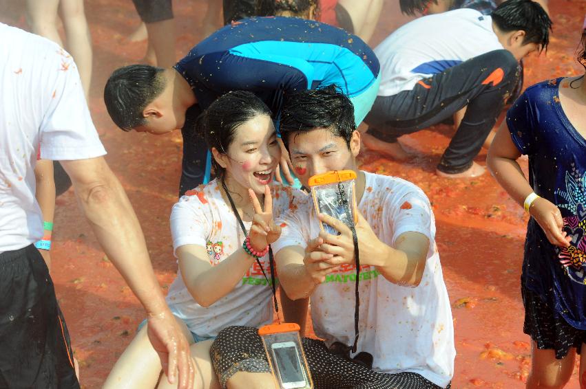 2016 화천토마토축제장 전경 의 사진