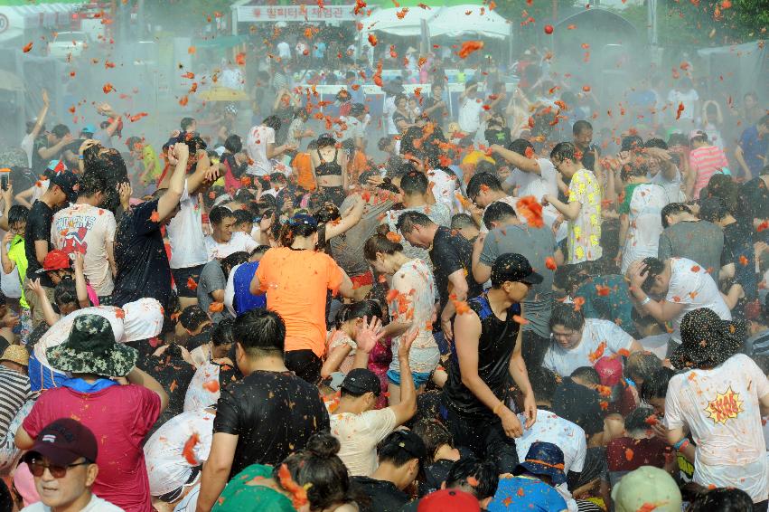 2016 화천토마토축제장 전경 의 사진