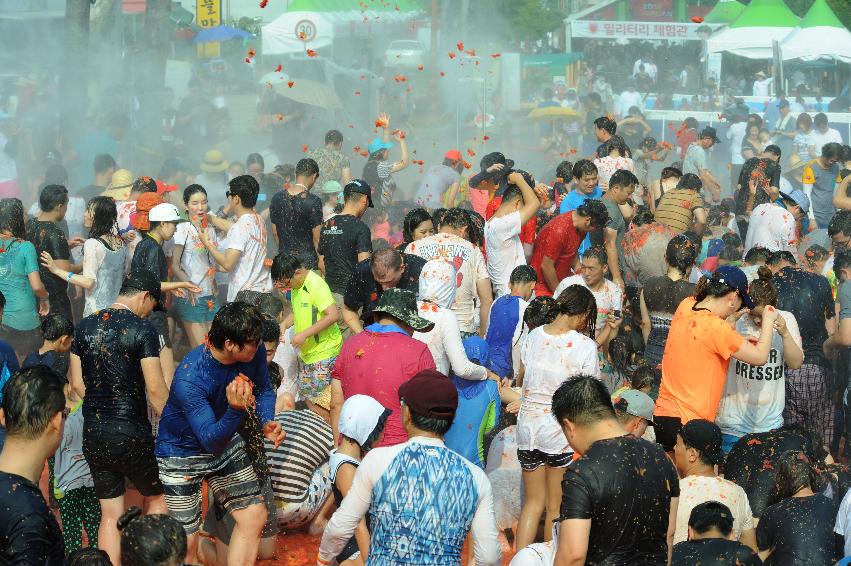 2016 화천토마토축제장 전경 의 사진