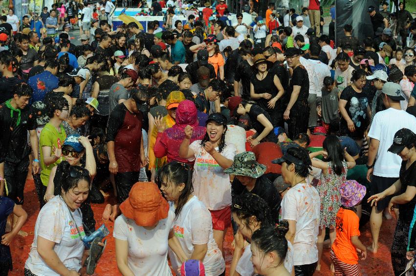 2016 화천토마토축제장 전경 의 사진