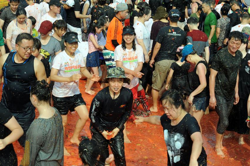 2016 화천토마토축제장 전경 의 사진