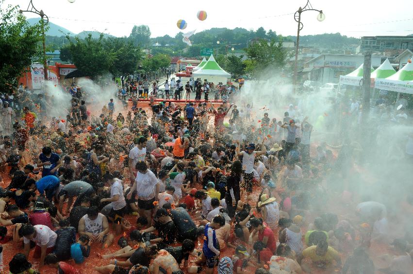 2016 화천토마토축제장 전경 의 사진