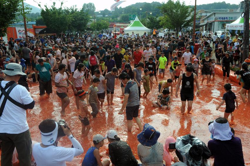 2016 화천토마토축제장 전경 의 사진