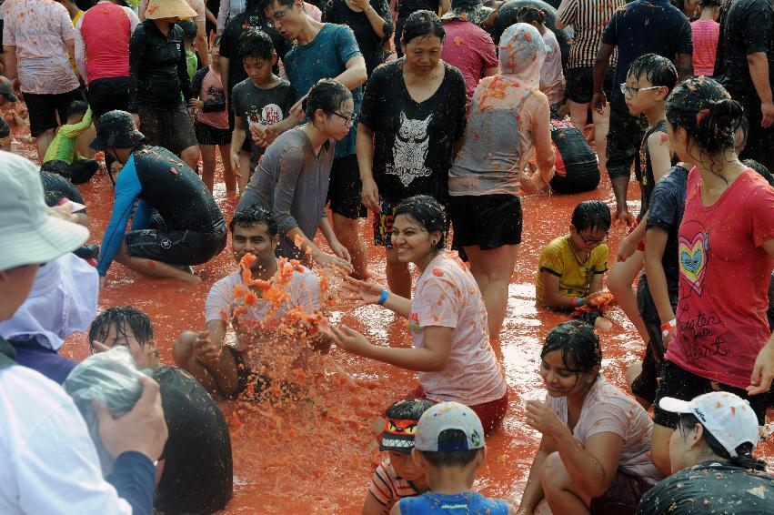 2016 화천토마토축제장 전경 의 사진