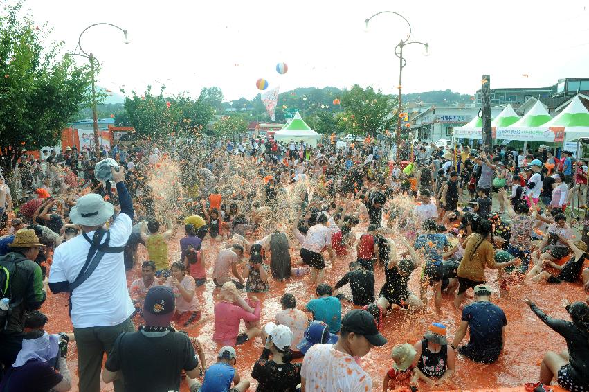 2016 화천토마토축제장 전경 의 사진