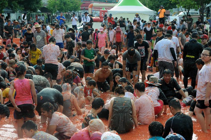 2016 화천토마토축제장 전경 의 사진