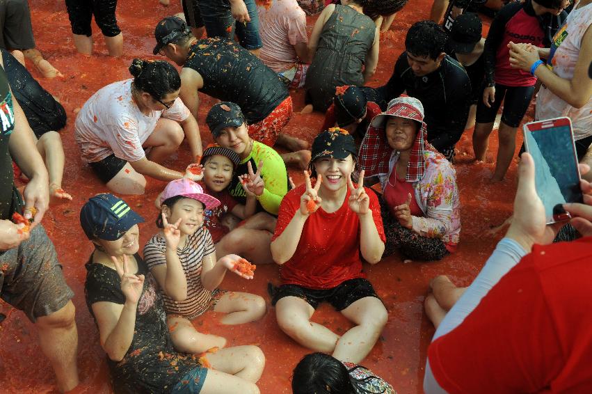 2016 화천토마토축제장 전경 의 사진