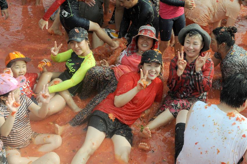 2016 화천토마토축제장 전경 의 사진