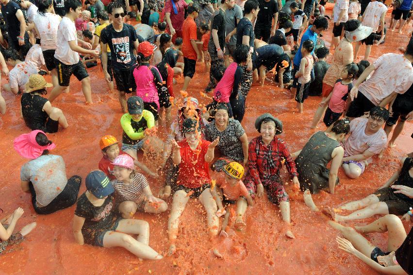 2016 화천토마토축제장 전경 의 사진