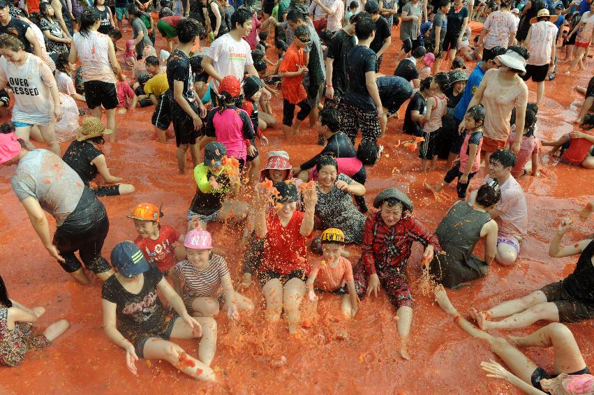 2016 화천토마토축제장 전경 의 사진