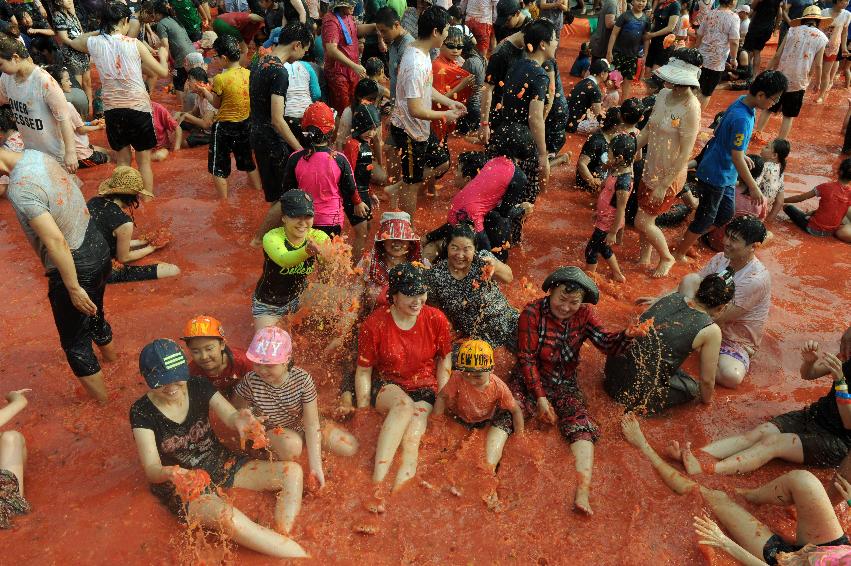 2016 화천토마토축제장 전경 의 사진