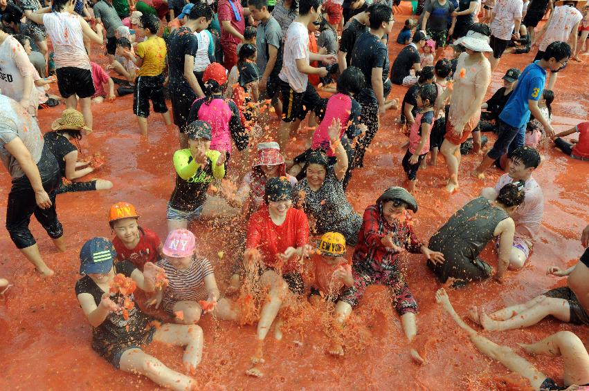 2016 화천토마토축제장 전경 의 사진