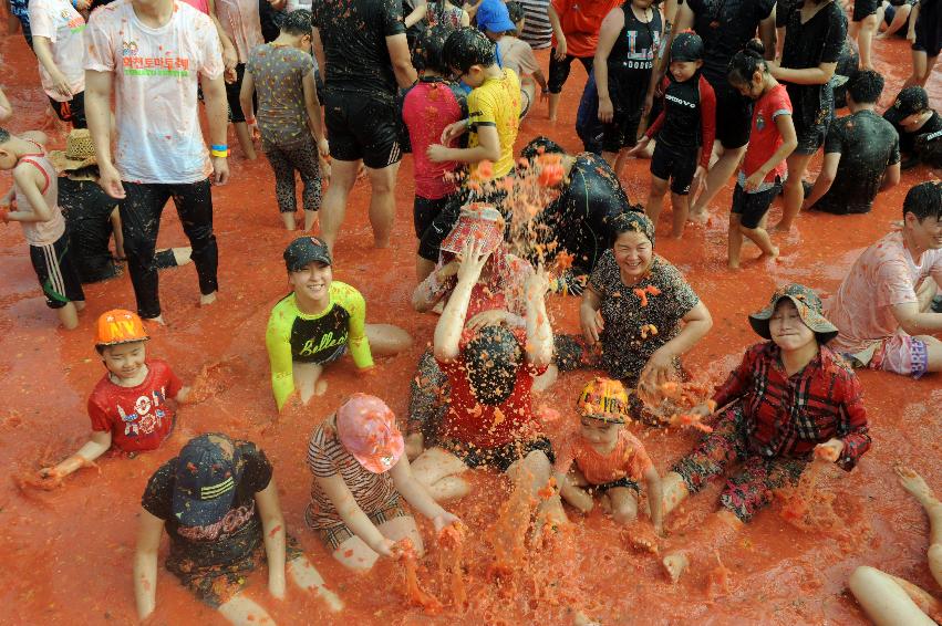 2016 화천토마토축제장 전경 의 사진