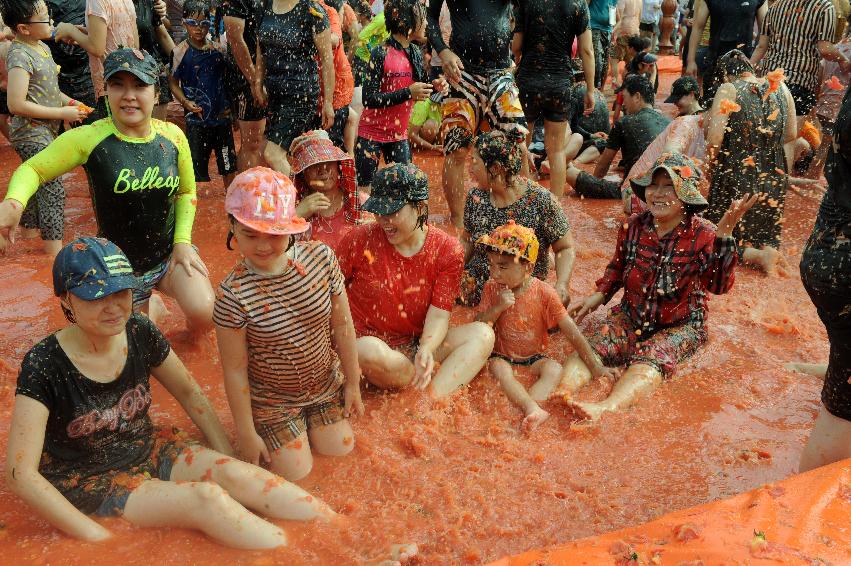 2016 화천토마토축제장 전경 의 사진