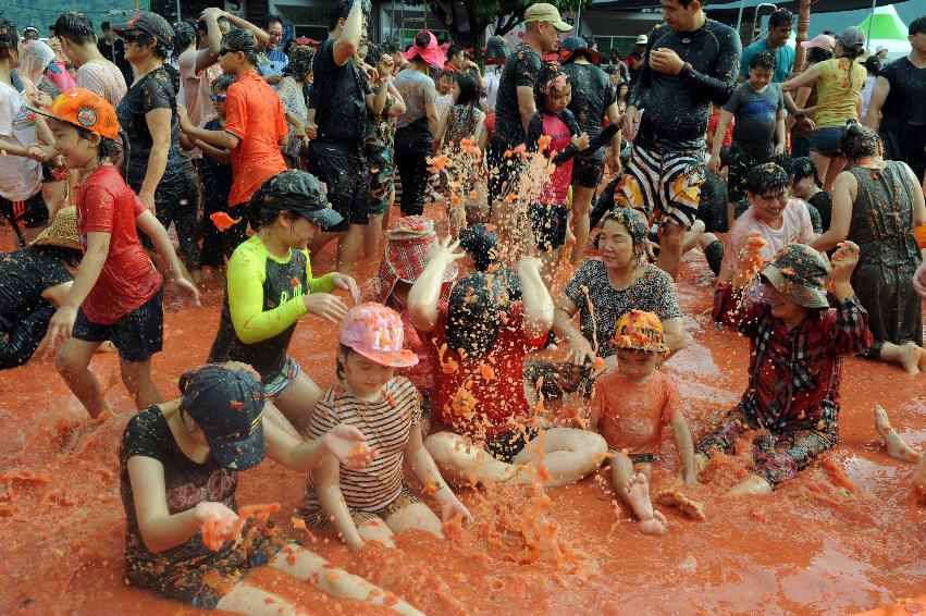 2016 화천토마토축제장 전경 의 사진