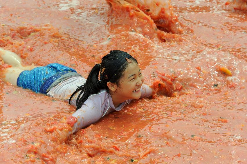 2016 화천토마토축제장 전경 사진